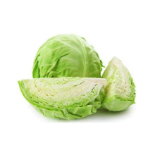 Organic Healthy Vegetable Of Cabbage